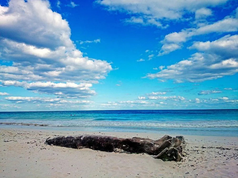 ****  Hotel Alaya Tulum By Ahau Collection Messico